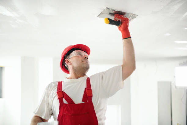 Best Drywall Removal and Disposal  in Ransomville, NY