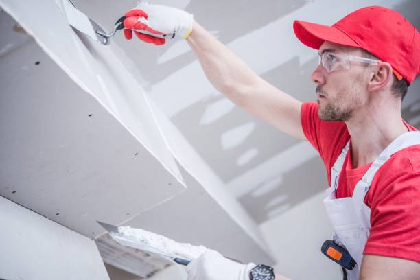 Best Drywall Installation  in Ransomville, NY